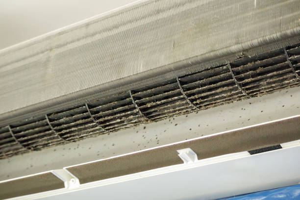 Best Emergency Air Duct Cleaning Services in Falconer, NY